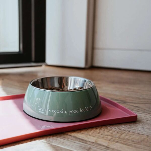 Hunter Sottociotole per Cani e Gatti Chester in Silicone Rosa 48 x 30 cm