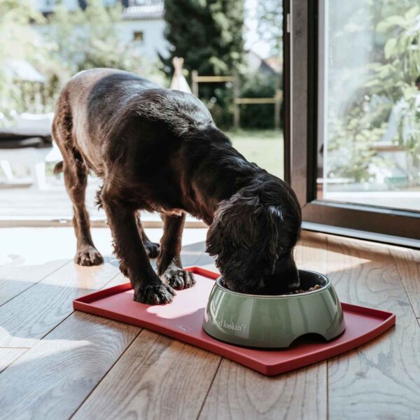 Hunter Sottociotole per Cani e Gatti Chester in Silicone Rosa 48 x 30 cm