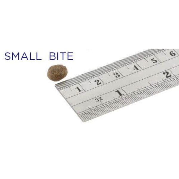 Fish4Dogs Superior Adult Small Salmone Grain Free per Cani Adulti di Piccola Taglia