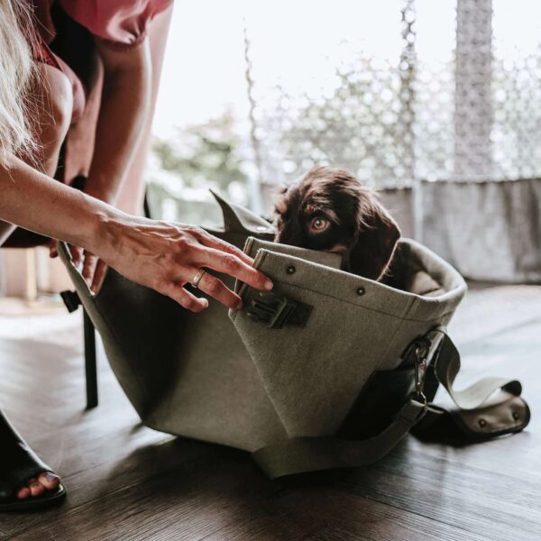 Hunter Borsa Trasportino e Coperta Madison per Cani e Gatti fino a 7 Kg.