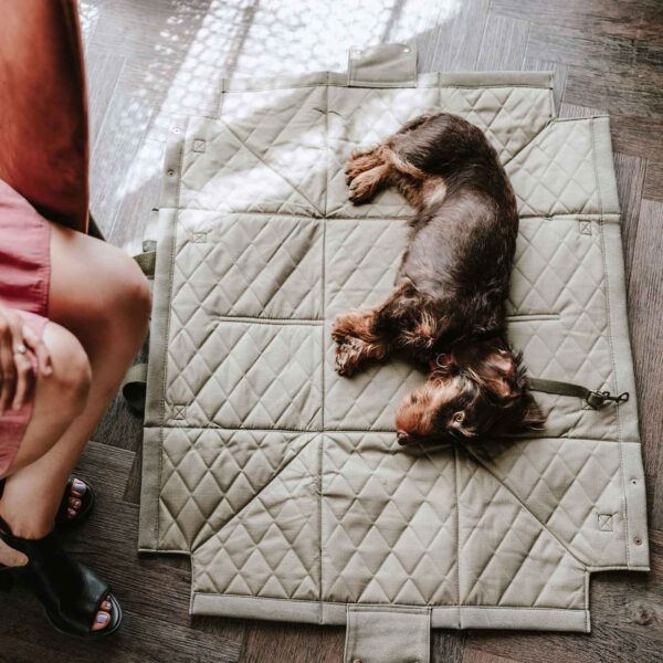 Hunter Borsa Trasportino e Coperta Madison per Cani e Gatti fino a 7 Kg.