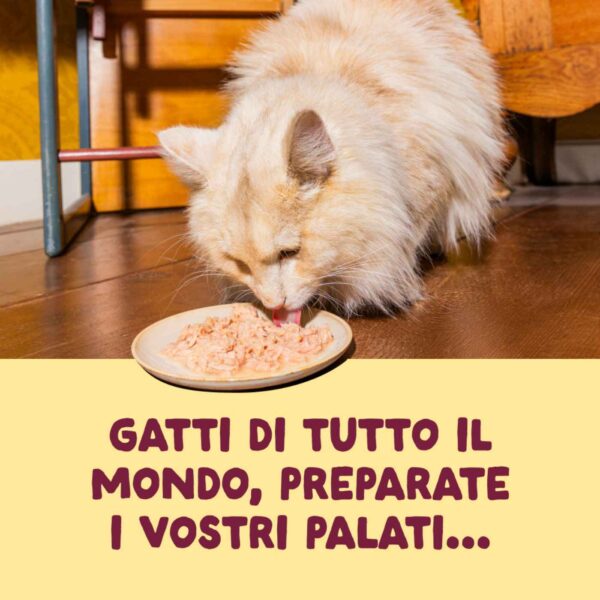 Edgard & Cooper Sfilaccetti per Gatti Adulti Pollo con Tacchino in Brodo di Pollo 70 g