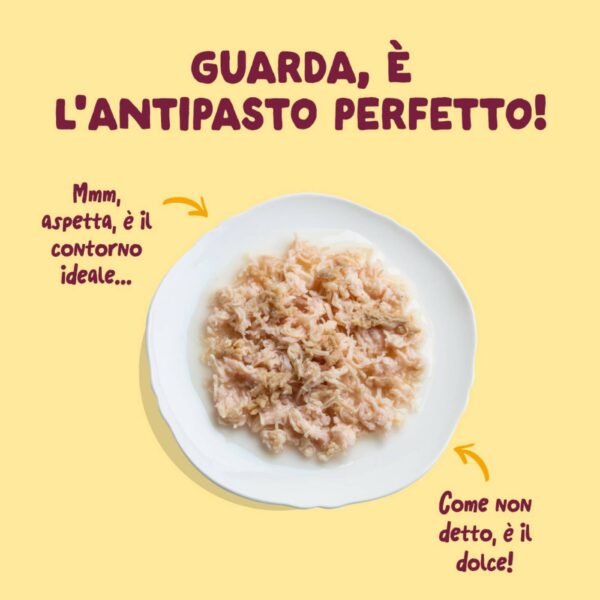Edgard & Cooper Sfilaccetti per Gatti Adulti Pollo con Tacchino in Brodo di Pollo 70 g
