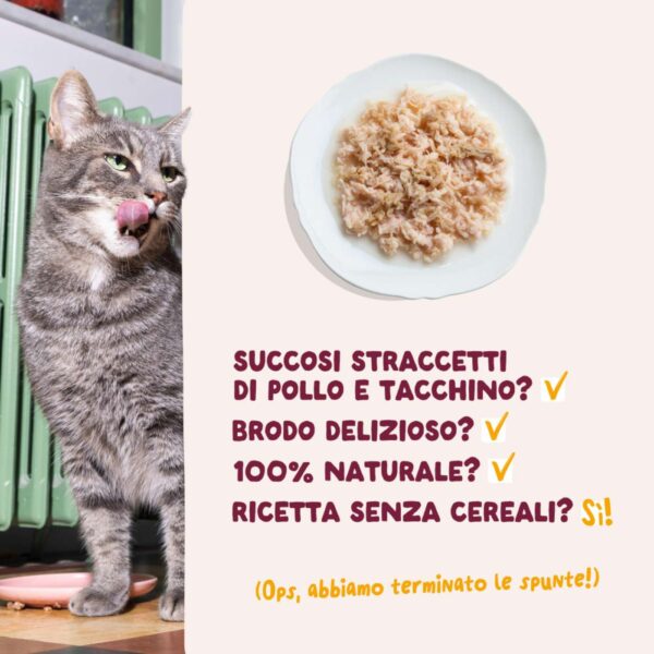 Edgard & Cooper Sfilaccetti per Gatti Adulti Pollo con Tacchino in Brodo di Pollo 70 g
