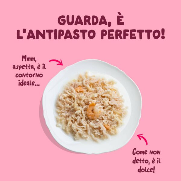 Edgard & Cooper Sfilaccetti per Gatti Adulti Pollo con Gamberetti in Brodo di Pollo 70 Gr.