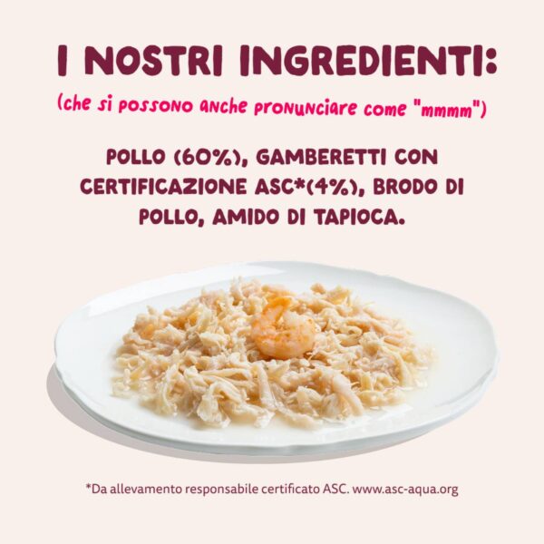 Edgard & Cooper Sfilaccetti per Gatti Adulti Pollo con Gamberetti in Brodo di Pollo 70 Gr.