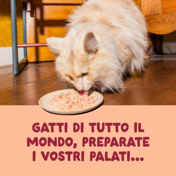 Edgard & Cooper Sfilaccetti per Gatti Adulti Pollo in Brodo di Pollo 70 g
