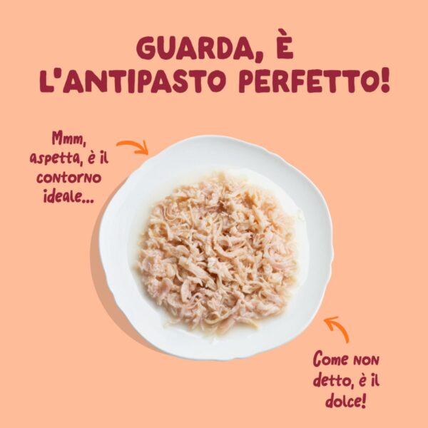 Edgard & Cooper Sfilaccetti per Gatti Adulti Pollo in Brodo di Pollo 70 g