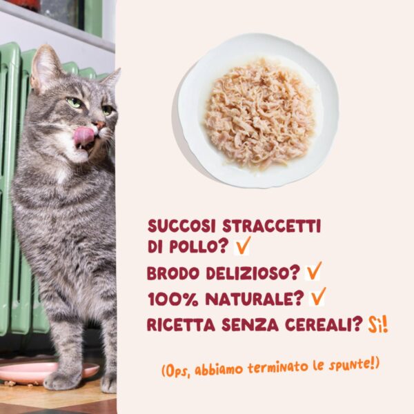 Edgard & Cooper Sfilaccetti per Gatti Adulti Pollo in Brodo di Pollo 70 g