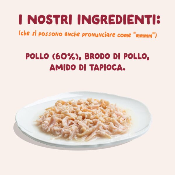 Edgard & Cooper Sfilaccetti per Gatti Adulti Pollo in Brodo di Pollo 70 g