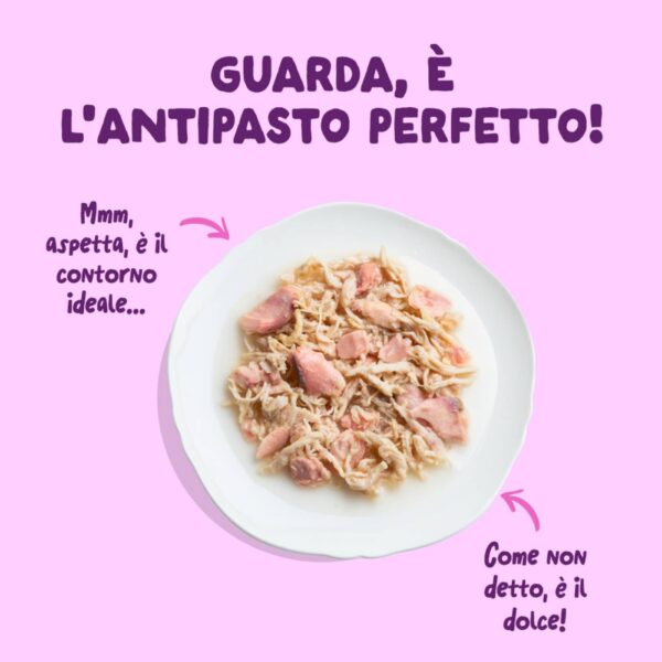 Edgard & Cooper Sfilaccetti per Gatti Adulti Salmone con Pollo in Brodo 70 g