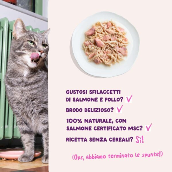Edgard & Cooper Sfilaccetti per Gatti Adulti Salmone con Pollo in Brodo 70 g