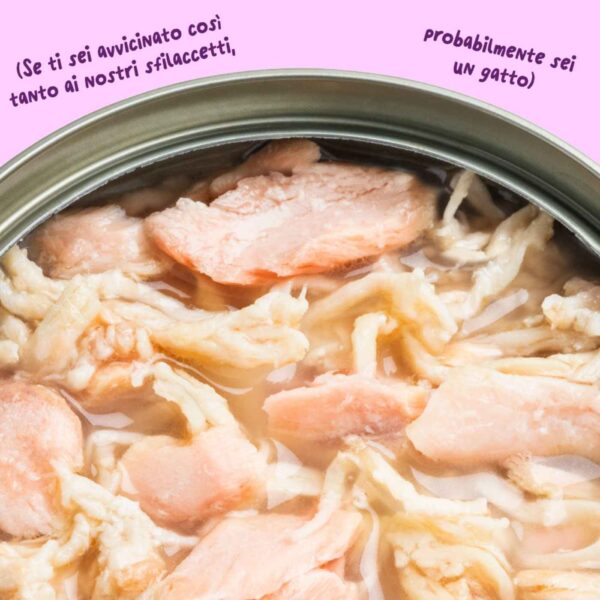 Edgard & Cooper Sfilaccetti per Gatti Adulti Salmone con Pollo in Brodo 70 g