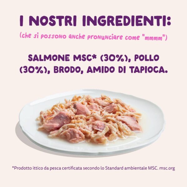 Edgard & Cooper Sfilaccetti per Gatti Adulti Salmone con Pollo in Brodo 70 g