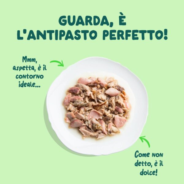 Edgard & Cooper Sfilaccetti per Gatti Adulti Salmone con Sgombro in Brodo di Pesce 70 g