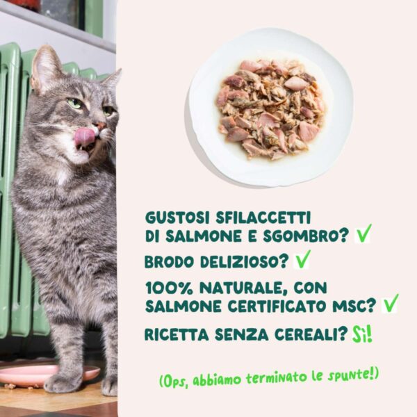 Edgard & Cooper Sfilaccetti per Gatti Adulti Salmone con Sgombro in Brodo di Pesce 70 g