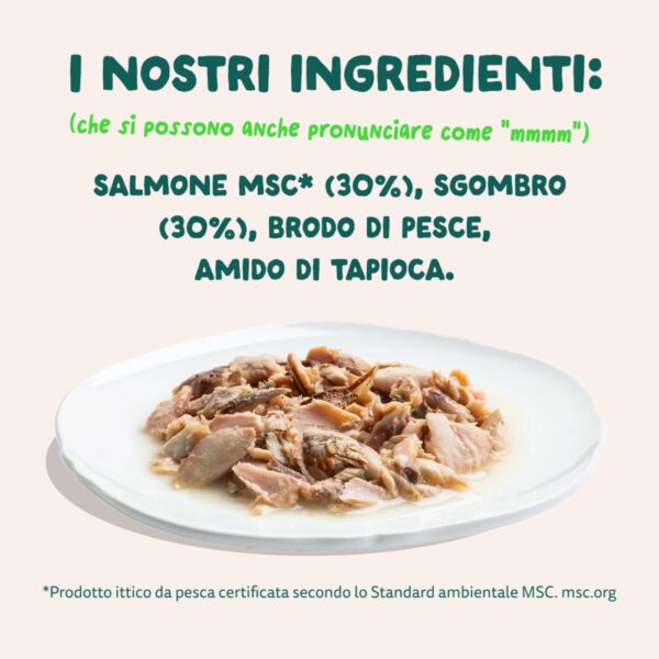 Edgard & Cooper Sfilaccetti per Gatti Adulti Salmone con Sgombro in Brodo di Pesce 70 g