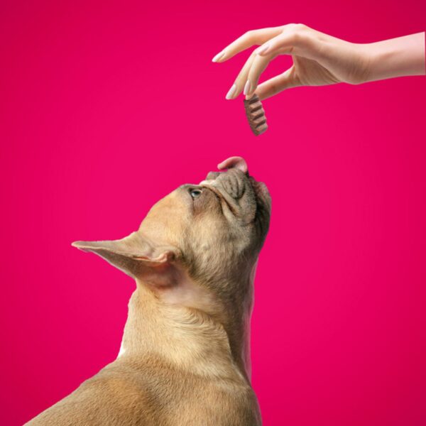 doggyebag i morbidosi snack morbidi e divisibili con agnello per cani 90 g